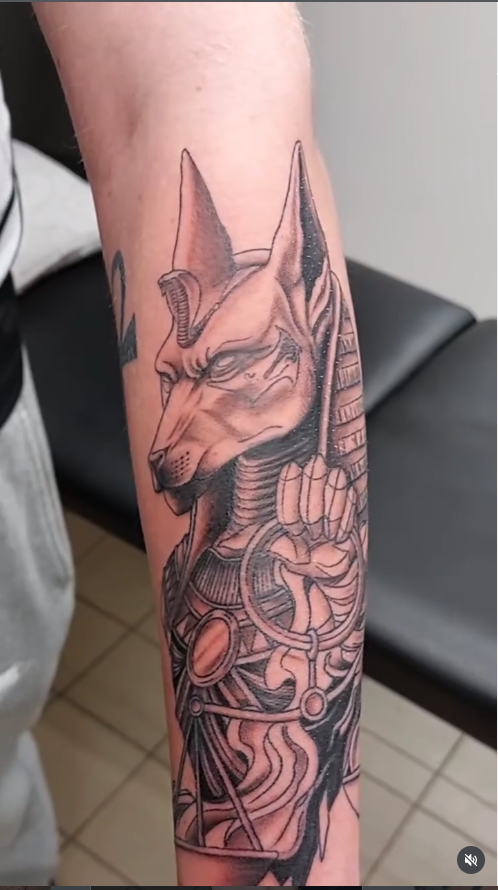 Anubis black and grey